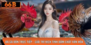 Đá Gà Đòn Trực Tiếp - Giải Trí Kịch Tính Đậm Chất Văn Hóa