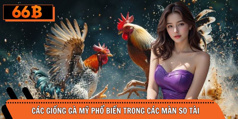 Điểm danh chiến binh thường xuyên thi đấu gà Mỹ