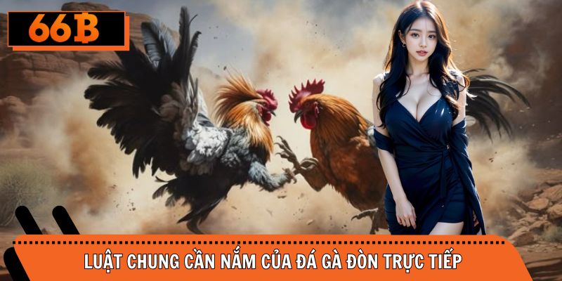 Luật chung về gà đá đòn dành cho người theo dõi