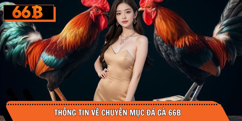Thông tin về chuyên mục đá gà tại nhà cái uy tín