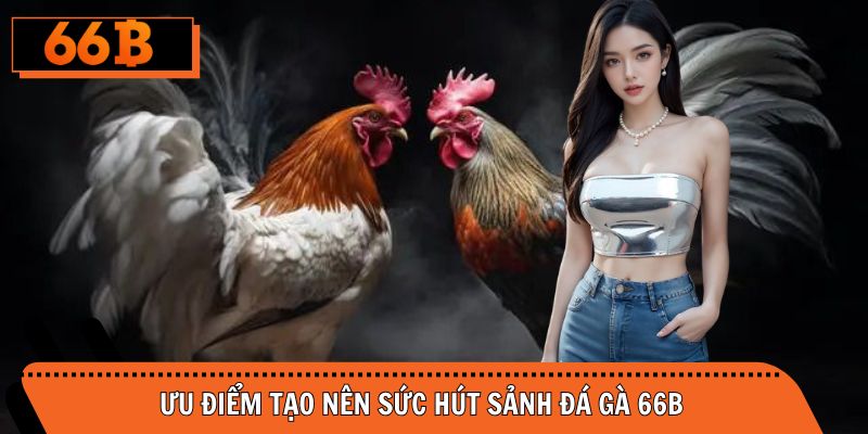 Ưu điểm tạo nên sức hút sảnh đá gà 66B